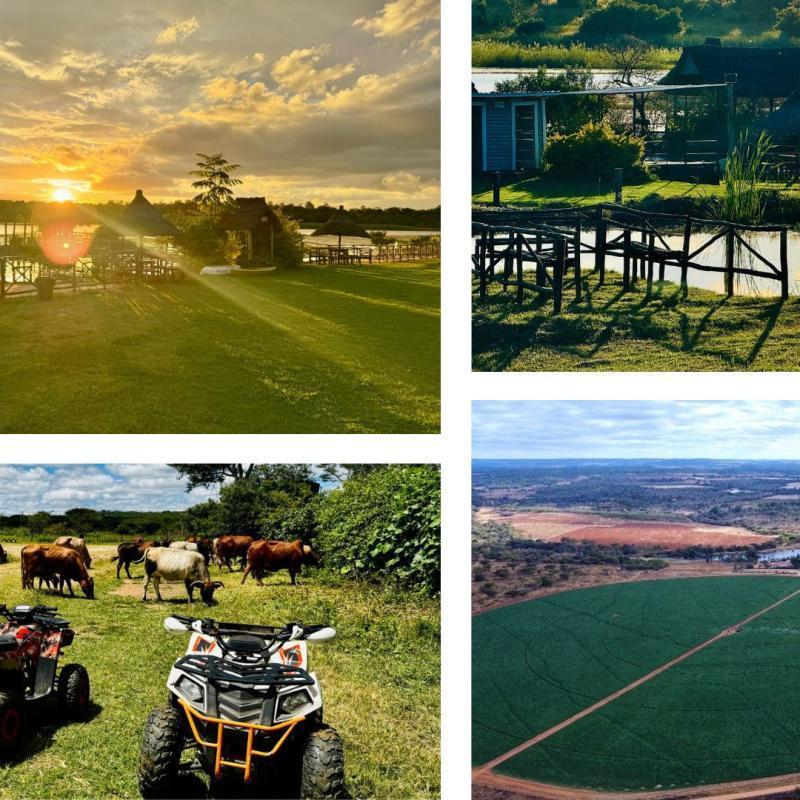 Chiparawe Farm: The Hidden Gem